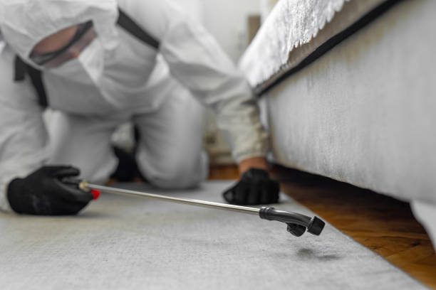 Professional Bed Bug Control technician working in Hopewell, NJ