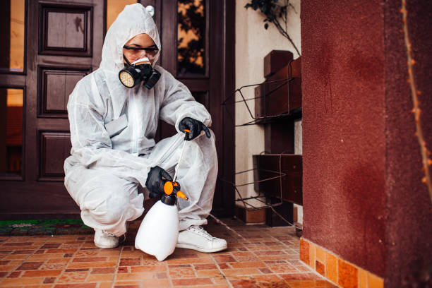 Reliable Bed Bug Control contractor in Hopewell, NJ by Nex Pest Control