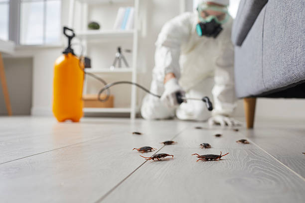 Trusted Termite Control service in Hopewell, NJ - Nex Pest Control