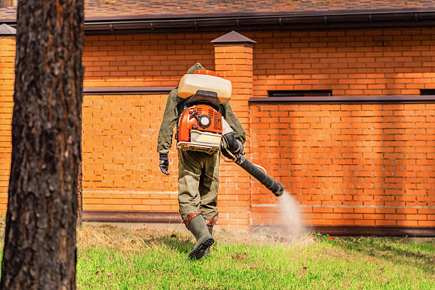 Trusted Cockroach Control service in Hopewell, NJ - Nex Pest Control